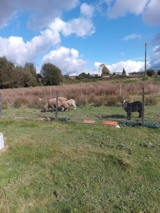 Casa Da Avo Miquinhas Hotell Pacos de Ferreira Eksteriør bilde