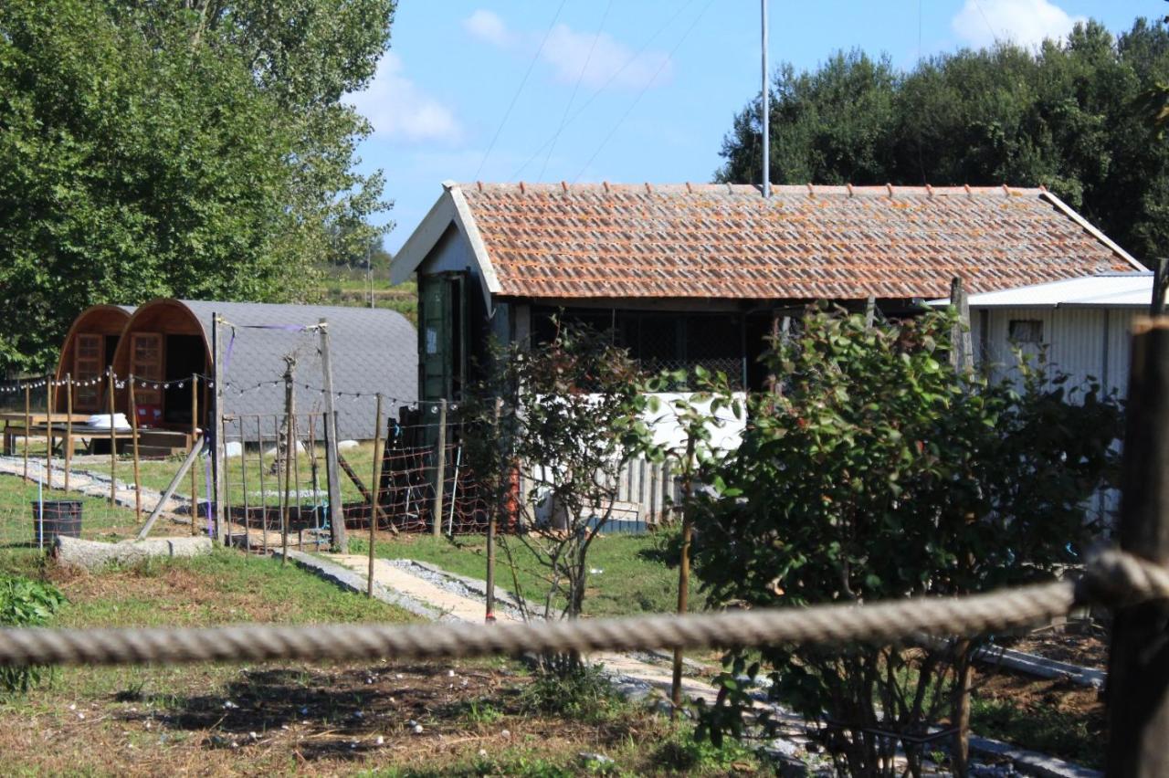 Casa Da Avo Miquinhas Hotell Pacos de Ferreira Eksteriør bilde